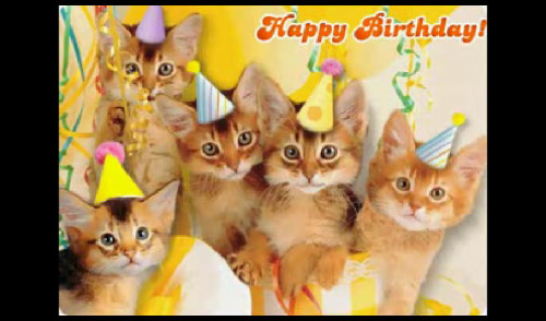 Happy20birthday20kitten zpsbwyf8e6g