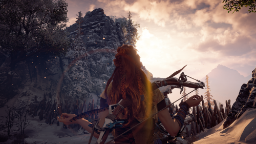 HorizonZeroDawn_20170319154808.png