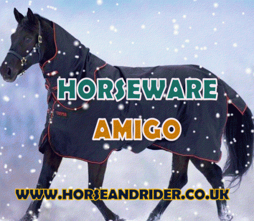 Buying cheap horse rugs is a great way to protect your horse year round. Browse this site http://www.horseandrider.co.uk/315-cheap-horse-rugs for more information on cheap horse rugs. A number of factors must be taken into account when choosing a rug for your animal. Some of these are fabric type, design and sizing of the garment.Follow us https://horsesrugs.wordpress.com/