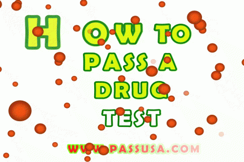 Visit this site https://www.passusa.com/ for more information on How To Pass A Drug Test. Opt for the best method on How To Pass A Drug Test. There are many ways to make things harder for you when asked to do drug testing at work or with high school drug testing. By refusing to partake in an employment drug detection test the consequences can be severe and devastating. The implications of this are that you face the high risk of losing your job, appearing guilty regardless of whether you are or not and avoiding the results.
FOLLOW US : http://passdrugtesting.pen.io/