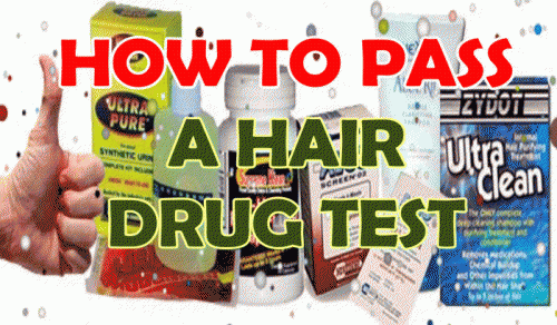Browse this site https://www.passusa.com/ for more information on Pass A Drug Test. It is quite important that you opt for the best and the most reliable and effective methods to Pass A Drug Test. Trying to accomplish this without arousing suspicion can be difficult and it leaves you with limited options. If you know in advance that drug testing is scheduled, there are things that you can do to make sure that you come up clean.
FOLLOW US : http://www.spoke.com/people/how-to-pass-a-drug-test-5602462e28f32af3ea00d0d0