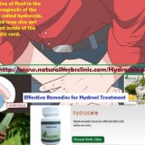 HydroceleCausesSymptomsandNaturalTreatment