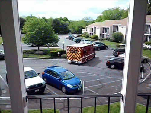 Joey.March5-2014206.gif