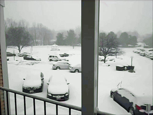 Joey.March5-2014211.gif