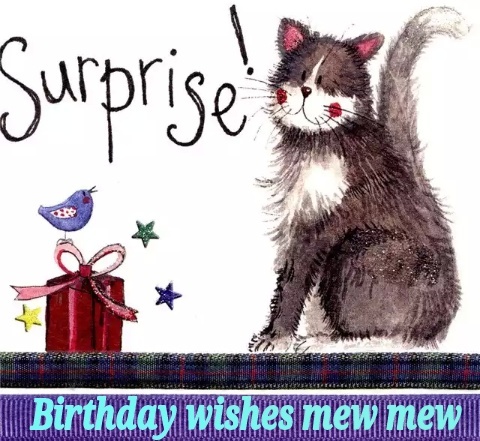 KITTEH-BIRTHDAY-SURPRISE.jpg