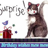 KITTEH-BIRTHDAY-SURPRISE