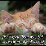 KITTYREADYFORTHEWEEKEND