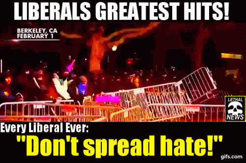 LIBERALS GREATEST HITS GIF