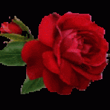 L_1-AA-A357nnxlFaVguiRqq5RbhQQKAel8AlMjbJ48E_ScJYsAyMQ
