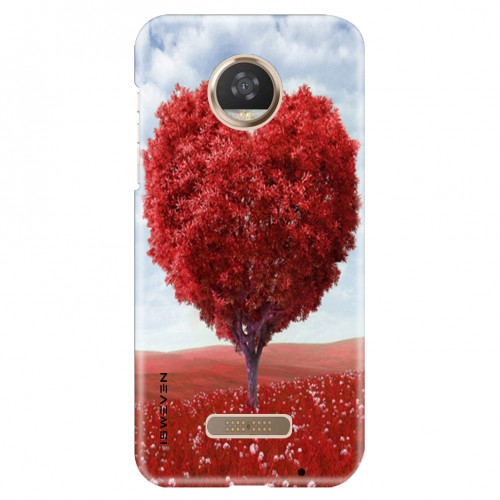 Lovetree31682.jpg