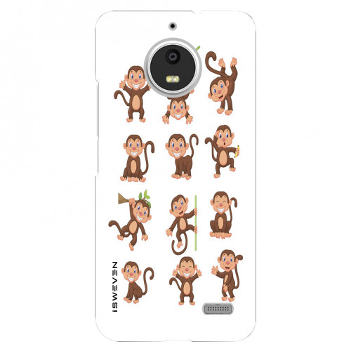 Monkeys30976.jpg