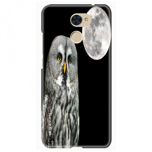 Moon and Owl