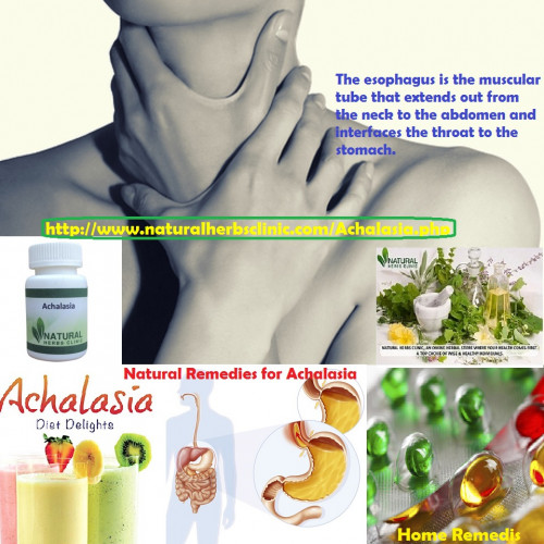 In achalasia, this muscle does not relax properly and the end of your gullet becomes blocked with food.... http://achalasiaanditstreatment.blogspot.com/2017/09/achalasia.html