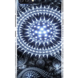 PC755c5d1e49cc3915fdd