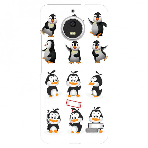 Penguins086cd.jpg