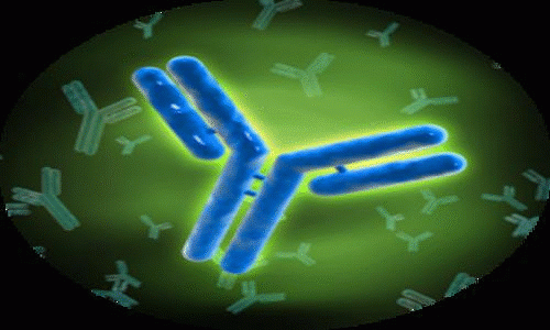 At Abwiz Bio, we have the top-notch platform for monoclonal antibody development with respect to phosflow cytometry experiments. Feel free to consult us at +1858-352-6911. https://www.abwizbio.com/