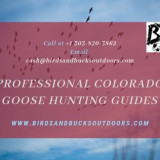 Professional-Colorado-Goose-Hunting-Guides