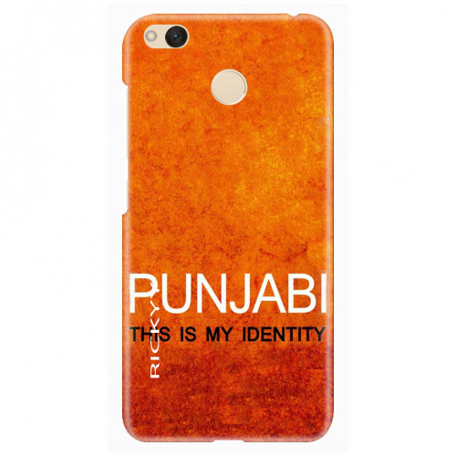 Punjabimyidentity29263.jpg