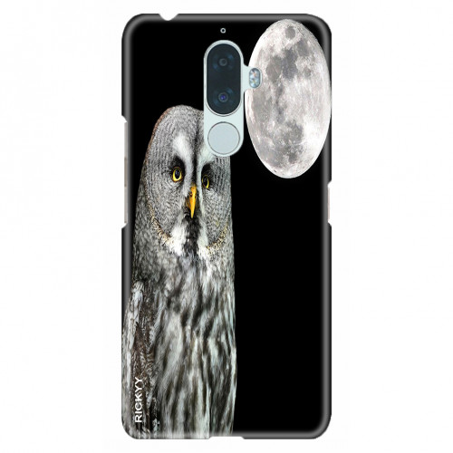 Great Grey Owl or Lapland Owl, Strix nebulosa and the moon at night