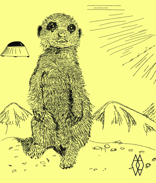 SURICATA