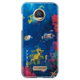 SeaCreature93aa6