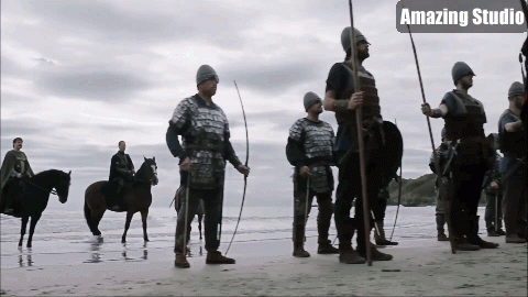 ShieldWall7.gif