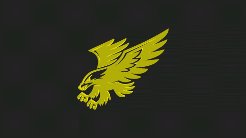THS Hawk correct