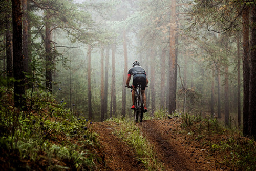 TOP-MAMMOTH-TRAILS-FOR-MOUNTAIN-BIKING.jpg