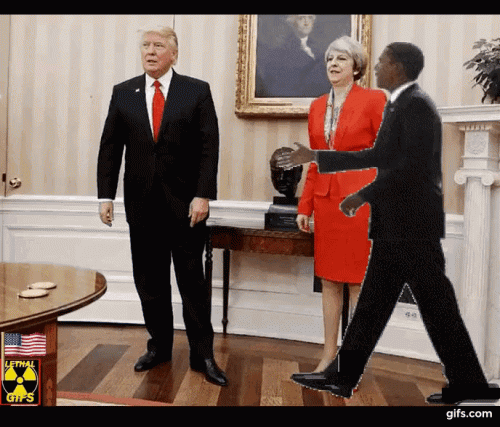 TRUMPS DAILY VISITOR GIF