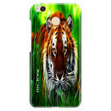 Thetiger0727a