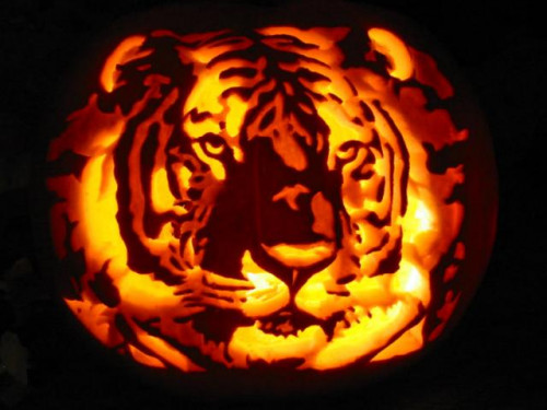 Tiger_Pumpkin_Carving_by_Armuri_zps2e030de7.jpg