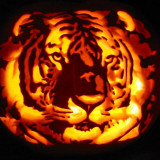 Tiger_Pumpkin_Carving_by_Armuri_zps2e030de7