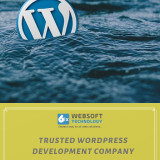 Trusted-WordPress-Development-Company