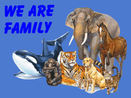 WE-ARE-FAMILY-ANIMALS.jpg