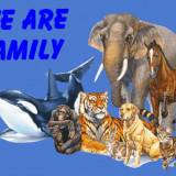 WE-ARE-FAMILY-ANIMALS