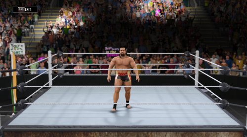 WWE2K16 2016 04 17 14 44 39 73