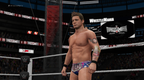 WWE2K162016-04-1917-26-15-95.png