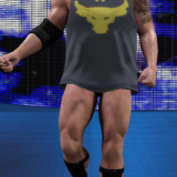 WWE2K162016-04-2623-01-29-87.png