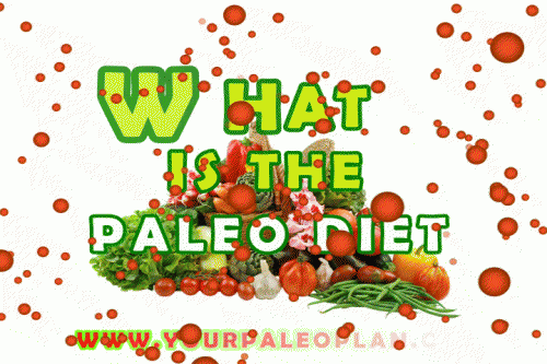 Click this site http://yourpaleoplan.com/ for more information on Paleo Diet Plan. Eating right is of paramount importance to humans these days and everybody is trying to make better food choices even if they start small. To support this, nutrition professionals and quacks alike have come up with a variety if Paleo Diet Plan and have made them available to the large mass of persons who want to benefit from a healthier diet. One of the more popular ones you may come about is the Paleo Diet Plan.
Follow us: http://paleodietfoodlist.brandyourself.com/