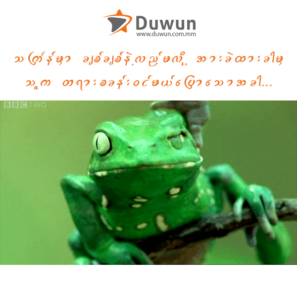 смешная жаба. лягушка гифка. жабка азазина. анимационные лягушки. гипножаба футурама.