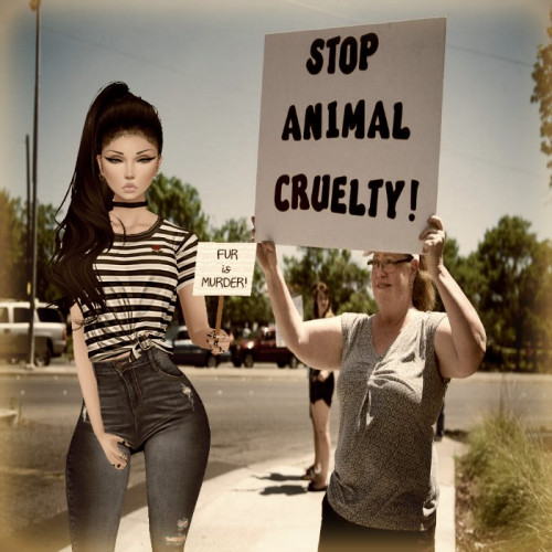 animal-abuse.jpg