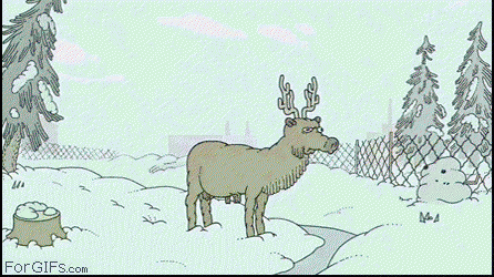 bestgifever.dontknowhowtodescribethisbeast_74b794_4582756.gif