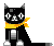 blacky cat 50X42