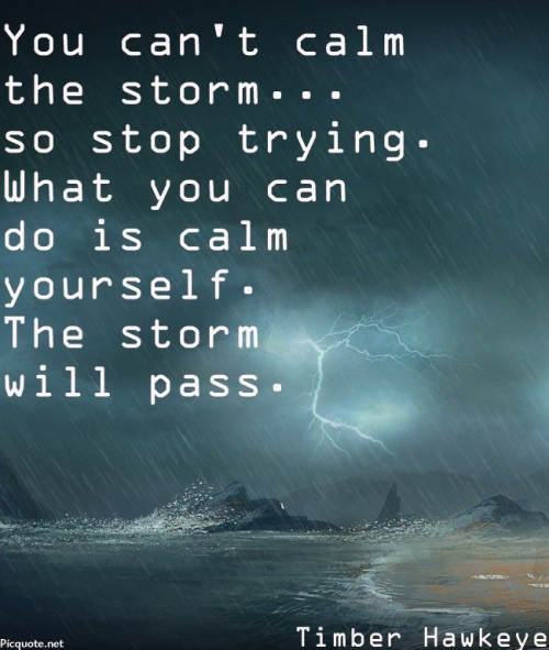 calmthestorm.jpg