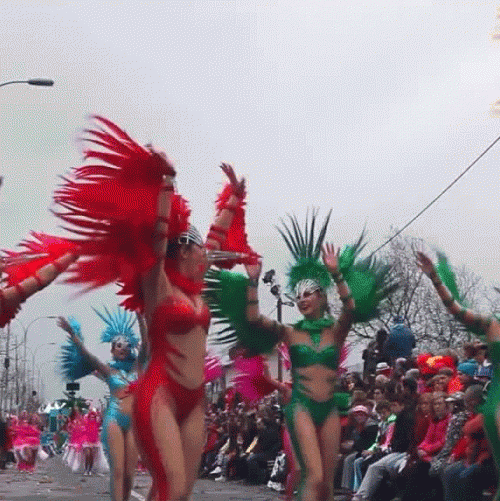 carnavalaec88.gif