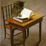 catReading300x385.png