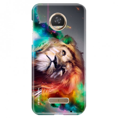 colorfullion4935d.jpg