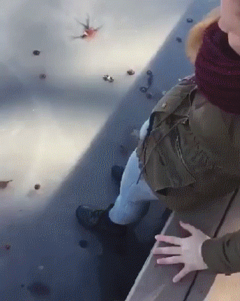 daily_gifdump_1263_13.gif