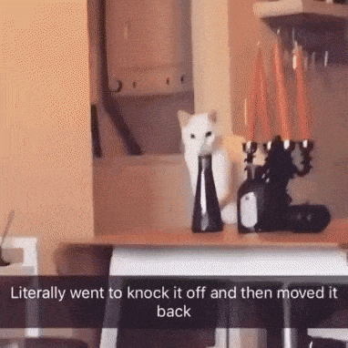 daily_gifdump_1266_06.gif