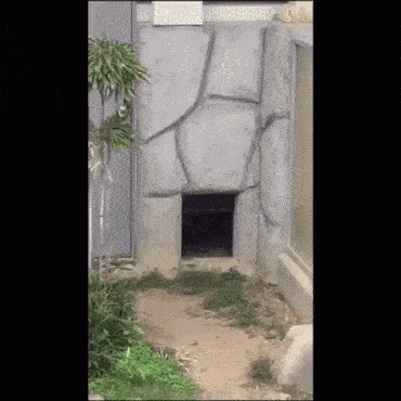 daily_gifdump_1393_19.gif